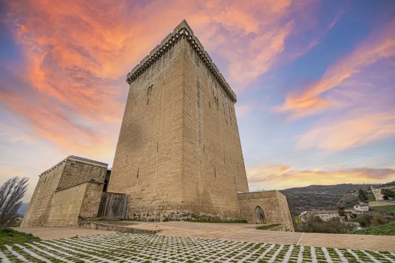 Micaela Portilla | Historia