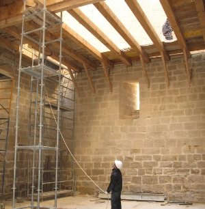 Micaela Portilla | Historia