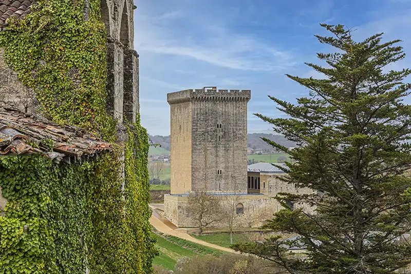 Micaela Portilla | Ubicación